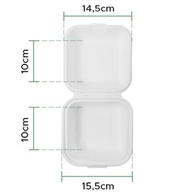 Sugarcane Burger Box White 15x15x8cm (50 Units) 