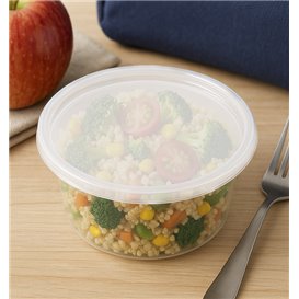 Plastic Container in PP with Lid Transparent "Deli Range" 360ml (240 Units)