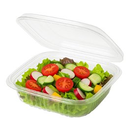 Plastic Hinged Deli Container PET Square shape 250ml (100 Units)  