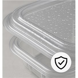 Plastic Hinged Deli Container PET Square shape 250ml (100 Units)  