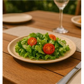 Palm Leaf Plate Round Shape Ø25cm (25 Units) 