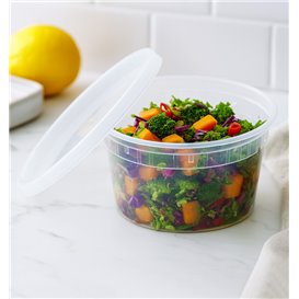 Plastic Container in PP with Lid Transparent "Deli Range" 480ml (240 Units)