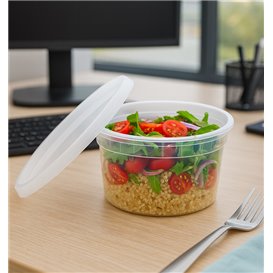 Plastic Container in PP with Lid Transparent "Deli Range" 480ml (240 Units)