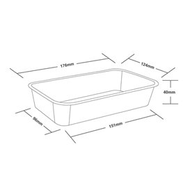 Rectangular Container in PP Transparent 500ml 17,4x11,6x3,5cm (25 Units)