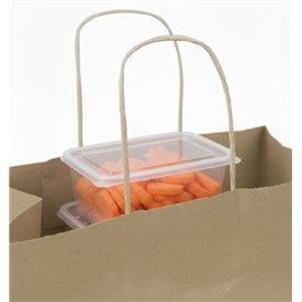 Paper Kraft Bag with Twisted Handles 80 g/m² 22+10x28cm (250 Units)