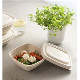 Sugarcane Lid for Bowl 13x13cm (50 Units)  