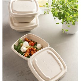 Sugarcane Lid for Bowl 13x13cm (50 Units)  