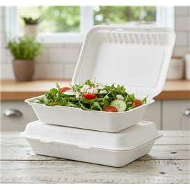 Sugarcane Hinged Container "Menu Box" White 26x16x6cm (50 Units)