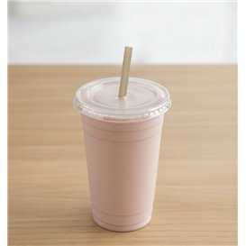 Sugarcane Straw Eco Straight Ø6mm 15 cm (100 Units)