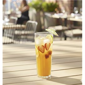 Reusable Durable Glass “Torino” in SAN 420ml (6 Unit)