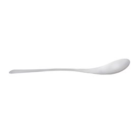 Stainless Steel Spoon 17,3cm (50 Units)