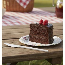 Reusable Compostable White CPLA Knife 16,8 cm (1500 Units)